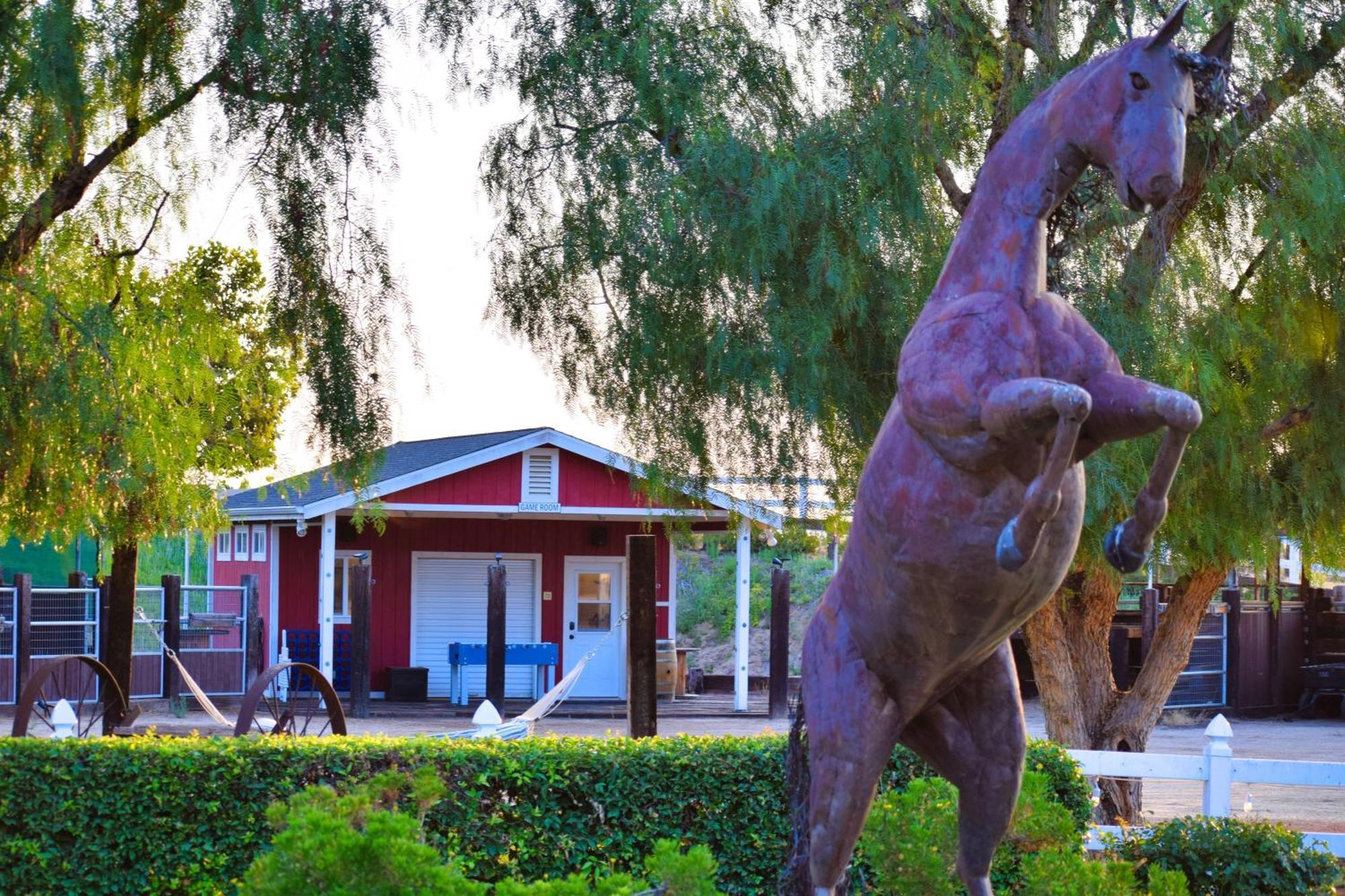 מלון טמקולה Peppertree Lane Ranch -- Seven-Acre Ranch In The Heart Of Wine Country מראה חיצוני תמונה